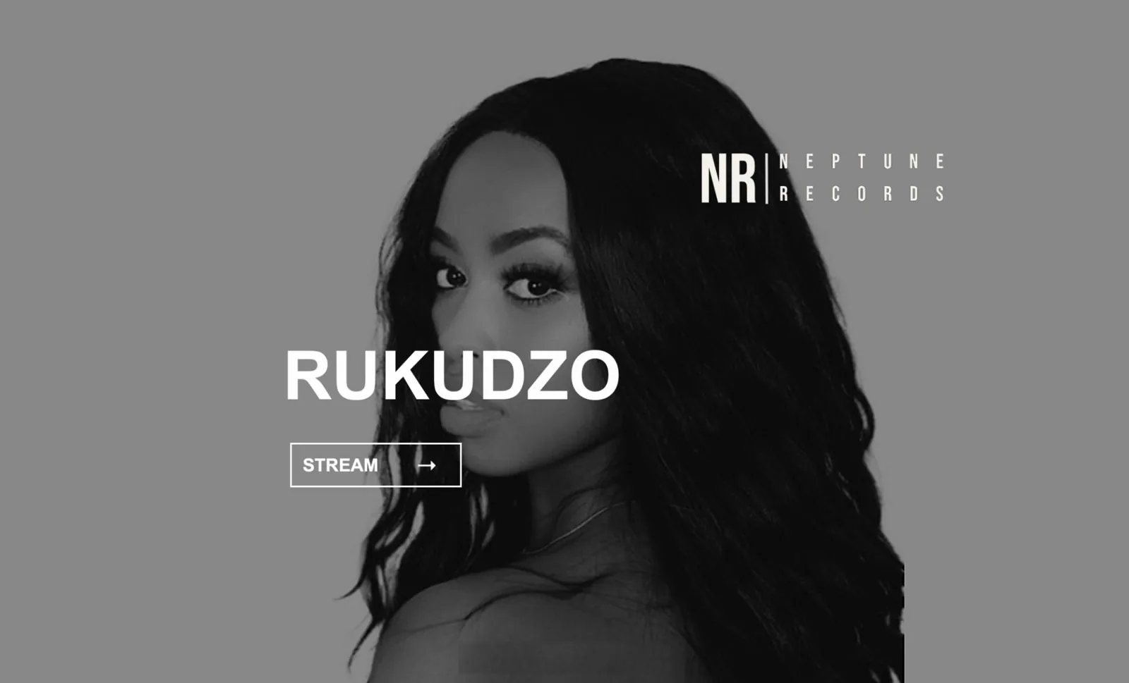 Rukudzo artist photo